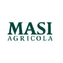 Masi